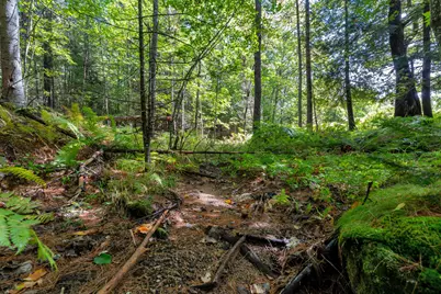 683 Waterford Road, Norway, ME 04268 - Photo 63