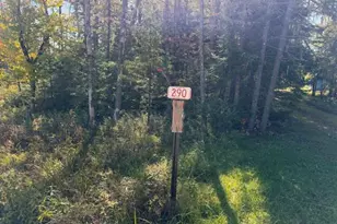 Lot #38 290 Fire Ln, Sinclair, ME 04779 - Photo 21