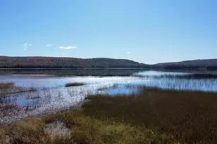 Lot #38 290 Fire Ln, Sinclair, ME 04779 - Photo 35