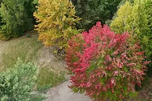 106 Southgate Rd, Old Town, ME 04468 - Photo 5