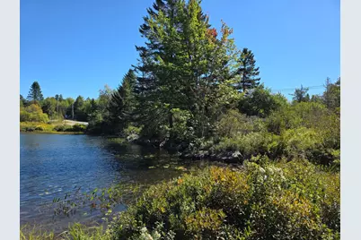35 Spruce Point Lane, Whiting, ME 04691 - Photo 11