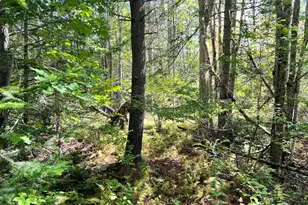 209Ab E Brown's Point Road E, Bowdoinham, ME 04008 - Photo 1