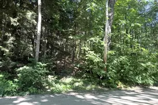 5 Old Cottage Ln, Belgrade, ME 04917 - Photo 59