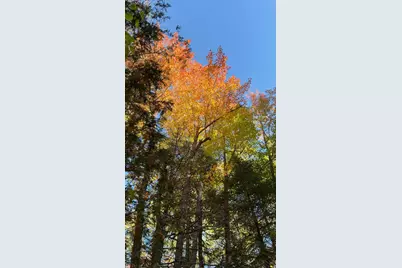 43 Hinds Road, Stratton, ME 04947 - Photo 5