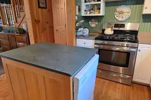 1 Mill Brook Rd, Greenville, ME 04441 - Photo 7