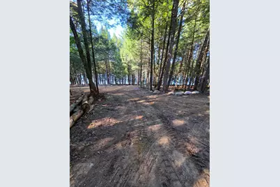 6 Kolm Lane, Garland, ME 04939 - Photo 3