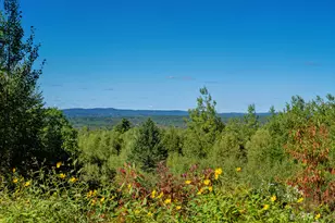 642 Lincolnville Ave, Searsmont, ME 04973 - Photo 55