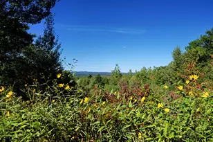 642 Lincolnville Ave, Searsmont, ME 04973 - Photo 53