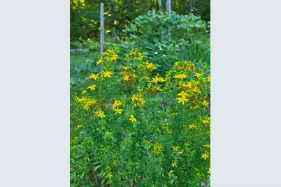 33 Harmon Road, Bridgton, ME 04009 - Photo 21
