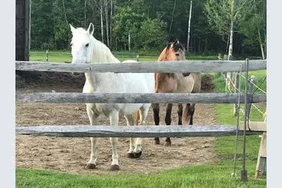 56 Town Farm Estate, Paris, ME 04281 - Photo 45