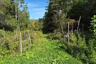 72 Carson Rd, Calais, ME 04619 - Photo 39