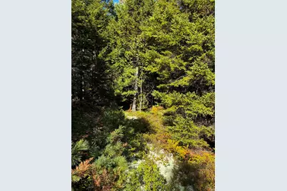 Lot #14/15 Bailey Mountain Road, Franklin, ME 04634 - Photo 5