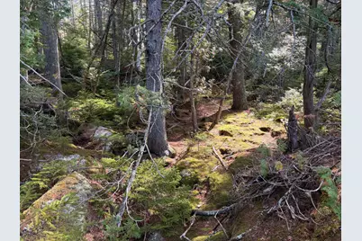 Map 3/17-9 Sunset Cove Way, Orland, ME 04472 - Photo 5