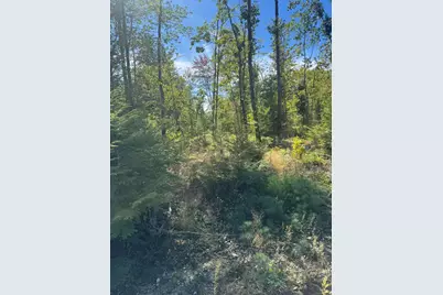 Lot 31-I Old Waterford Road, Lovell, ME 04051 - Photo 7