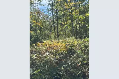 Lot 31-I Old Waterford Road, Lovell, ME 04051 - Photo 17