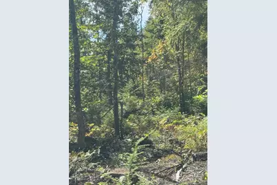 Lot 31-I Old Waterford Road, Lovell, ME 04051 - Photo 1