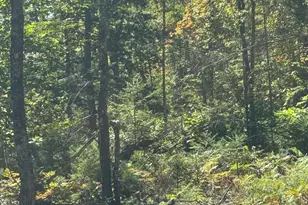 Lot 31-I Old Waterford Rd, Lovell, ME 04051 - Photo 1
