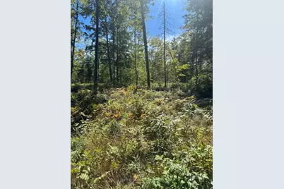 Lot 31-I Old Waterford Road, Lovell, ME 04051 - Photo 11