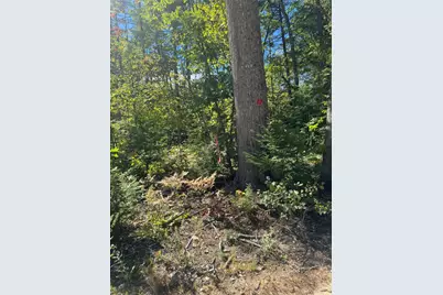 Lot 31-I Old Waterford Road, Lovell, ME 04051 - Photo 3