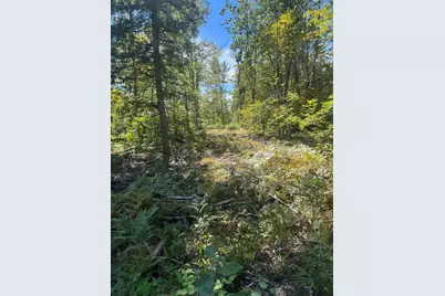 Lot 31-I Old Waterford Road, Lovell, ME 04051 - Photo 13