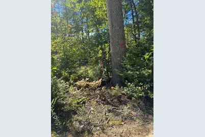 Lot 31-I Old Waterford Road, Lovell, ME 04051 - Photo 9