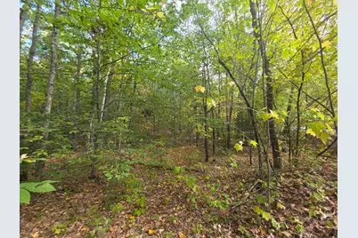 0073082621 Egypt Road, Gray, ME 04039 - Photo 5