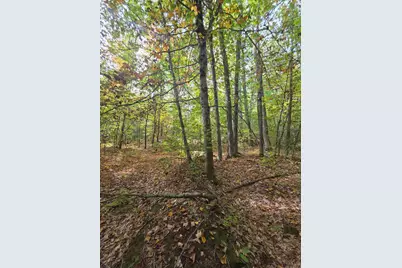 0073082621 Egypt Road, Gray, ME 04039 - Photo 3