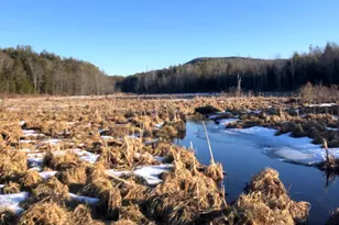 1298 Cape Rd, Limington, ME 04049 - Photo 33