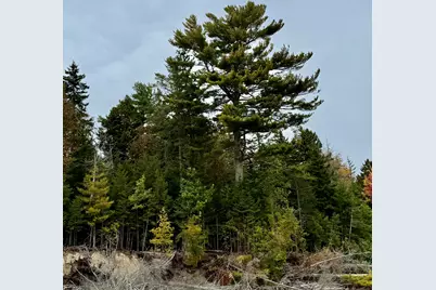 31 Russian Road, Ellsworth, ME 04605 - Photo 13
