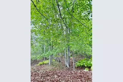 31 Russian Road, Ellsworth, ME 04605 - Photo 25