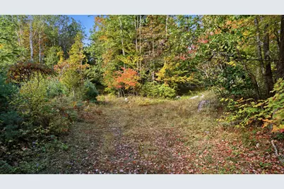 Lot 6 River Road, Sumner, ME 04292 - Photo 9