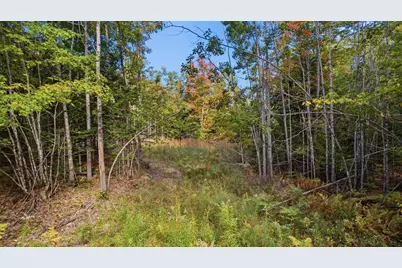 Lot 6 River Road, Sumner, ME 04292 - Photo 13