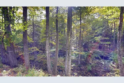 49 N Main Street, Monmouth, ME 04265 - Photo 49