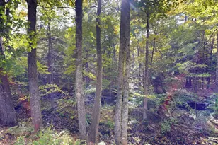 49 N Main St, Monmouth, ME 04265 - Photo 49