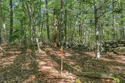 8 Brown's Freehold, York, ME 03909 - Photo 13