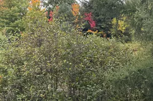 371 Main Rd, Charleston, ME 04422 - Photo 17