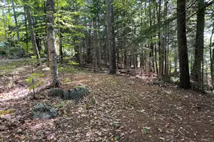 45 Fortune Cir, Surry, ME 04684 - Photo 13