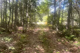 35 Hidden Acres, Steuben, ME 04680 - Photo 51