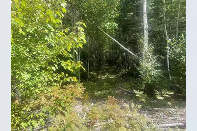 35 Hidden Acres, Steuben, ME 04680 - Photo 47