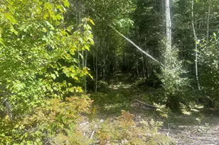 35 Hidden Acres, Steuben, ME 04680 - Photo 47