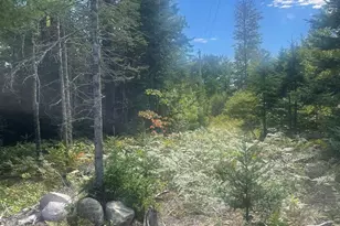 35 Hidden Acres, Steuben, ME 04680 - Photo 59