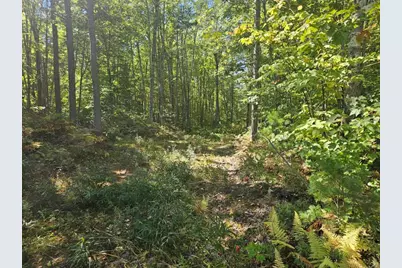 Lot 9F Pequawket Trail, Standish, ME 04084 - Photo 1