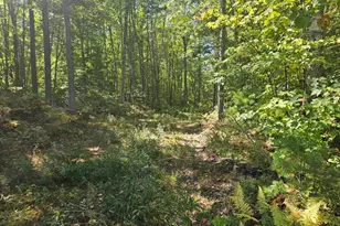 Lot 9F Pequawket Trail, Standish, ME 04084 - Photo 1