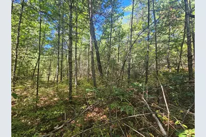 9F Pequawket Trail, Standish, ME 04084 - Photo 17