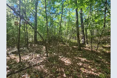 9F Pequawket Trail, Standish, ME 04084 - Photo 13