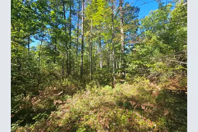 9F Pequawket Trail, Standish, ME 04084 - Photo 3