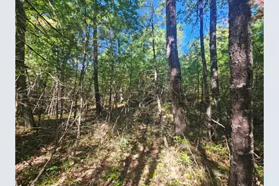 9F Pequawket Trail, Standish, ME 04084 - Photo 9
