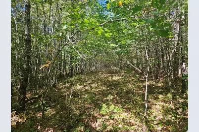 9G Pequawket Trail, Standish, ME 04084 - Photo 23
