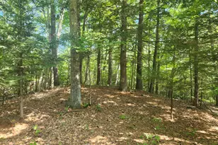 412 Greenwood Rd, Norway, ME 04268 - Photo 31