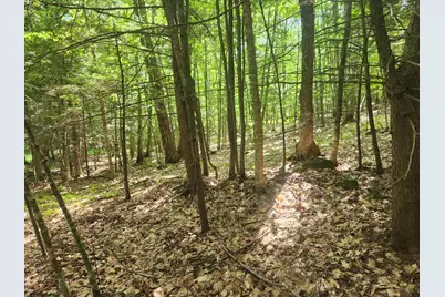 412 Greenwood Road, Norway, ME 04268 - Photo 53